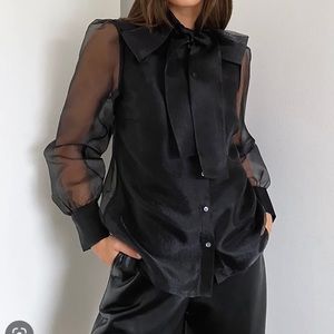 Zara Organza Shirt
